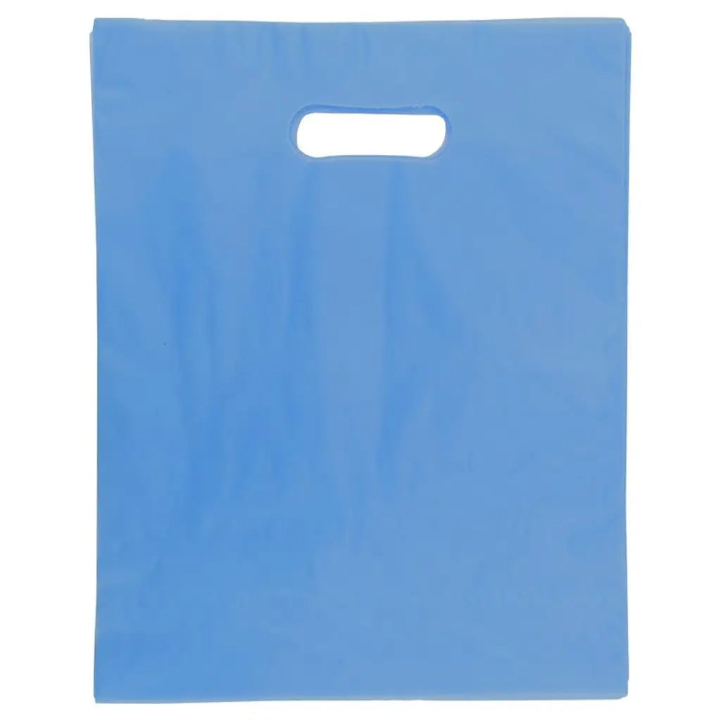 Party Central Frosted Gift Bags with Handle 23x19cm 35pk 283095