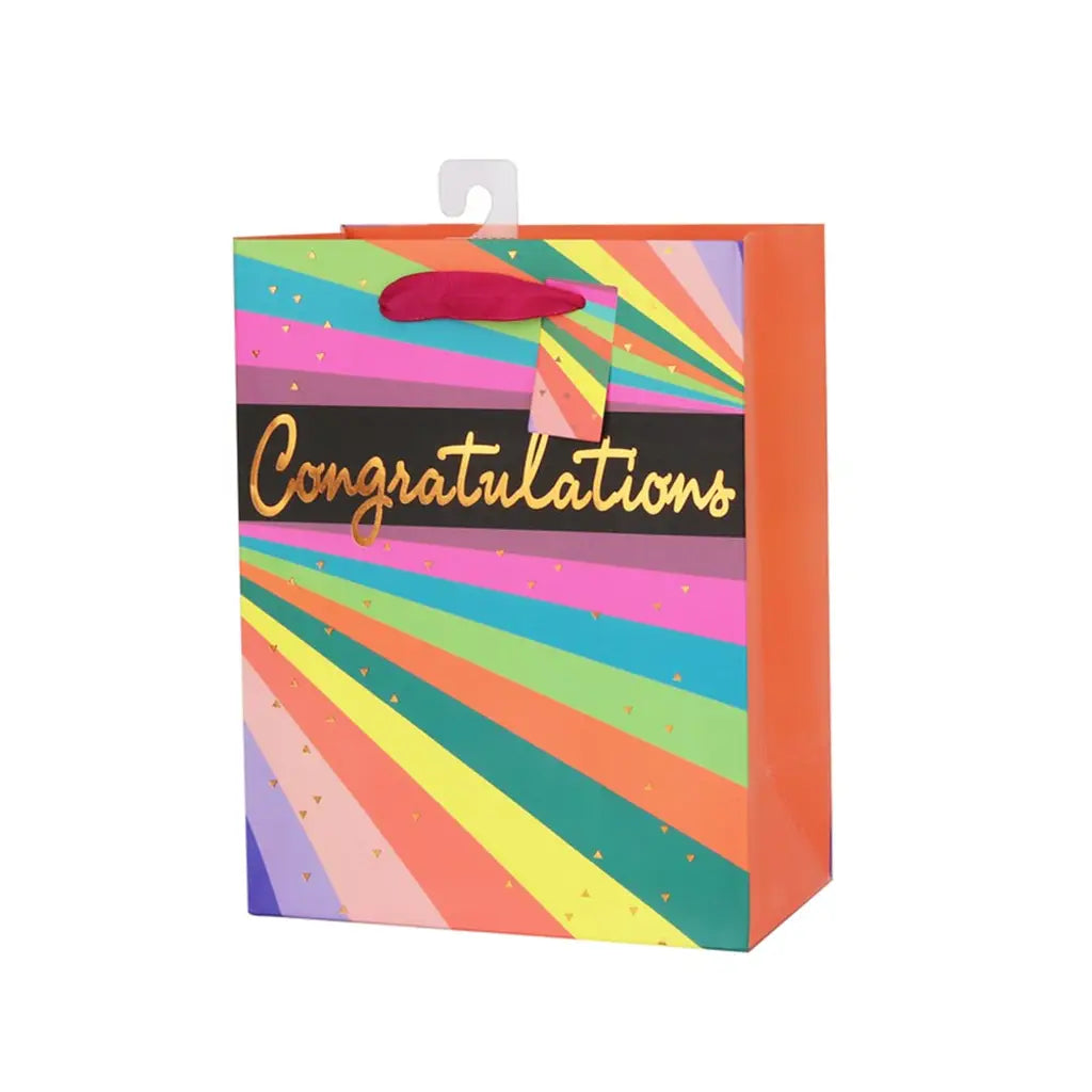 Snazzle Medium Neon Stripes Gift Bag 18x23x10cm SN13876