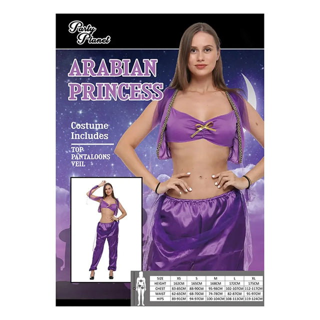 Arabian Princess Costume Including Top, Pantaloons, Viel PP29047