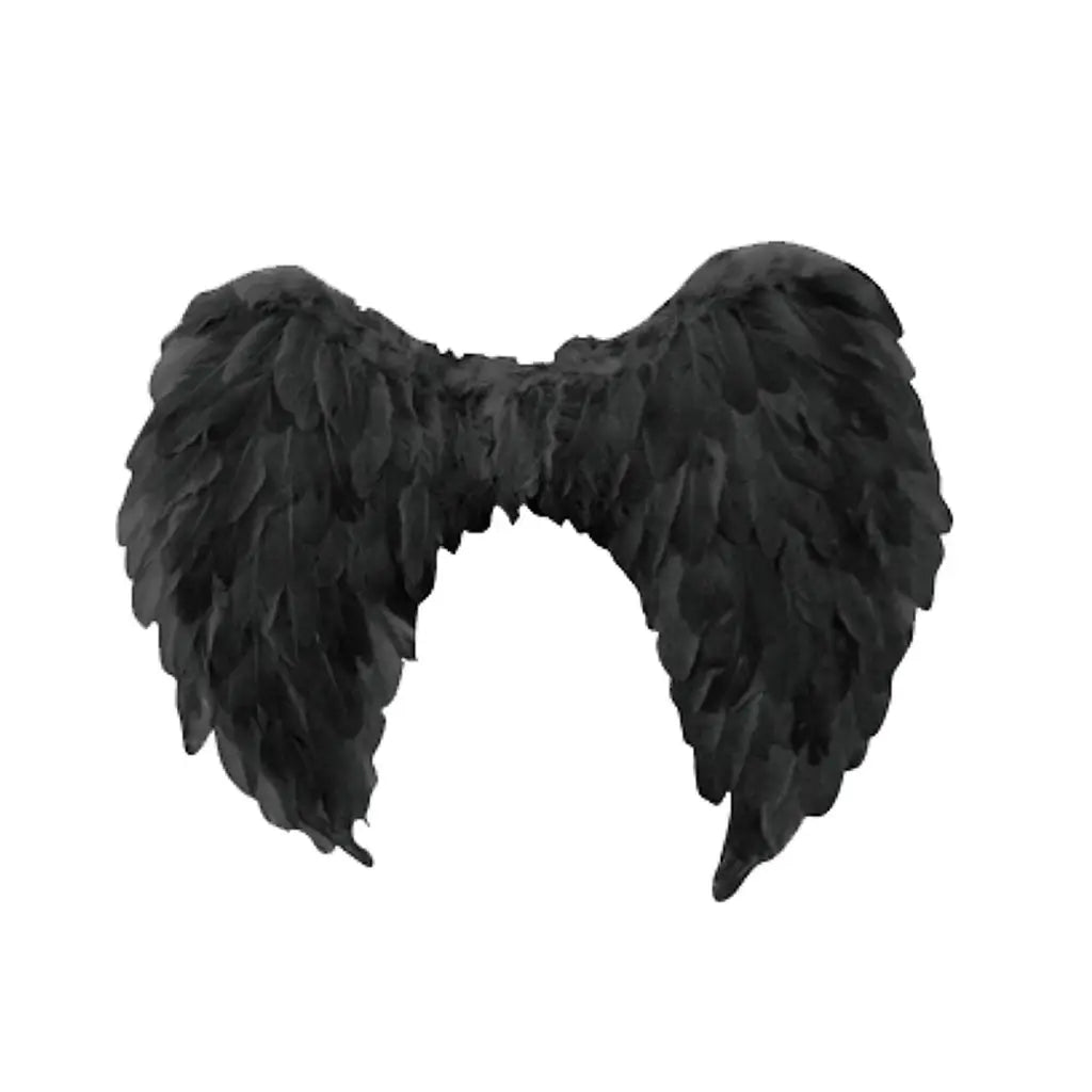 Black Angel Wing 80 X 60Cm A30240F