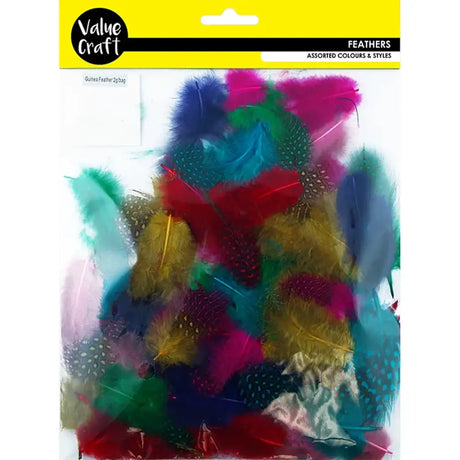 Feathers Guinea Hen Plumage Assorted 2g VCF31