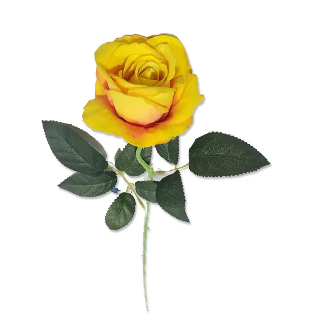 Flower Single Rose 9.5X50cm Yellow K205245YL