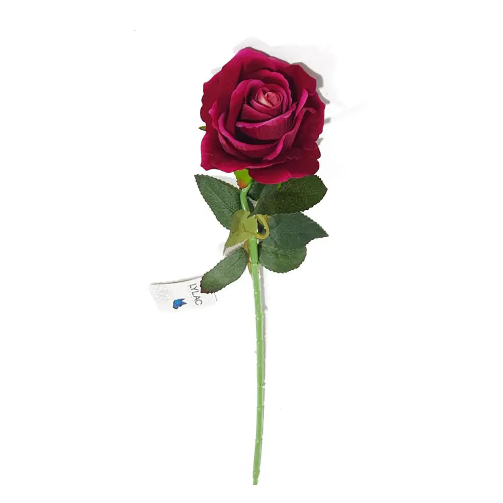 Flower Single Rose Maroon 9.5x50cm K205245MN