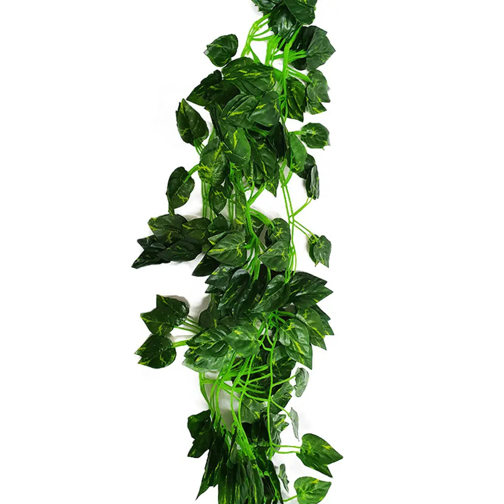 Foliage Vine Leaves Devil's Ivy 2m K148344