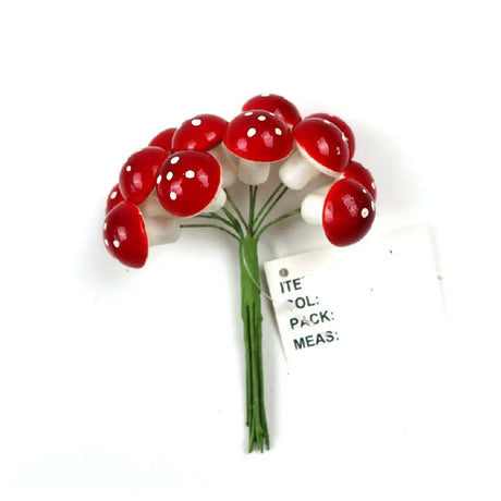 Mini Mushroom Picks 12Pk 2.3X13cm XM215848