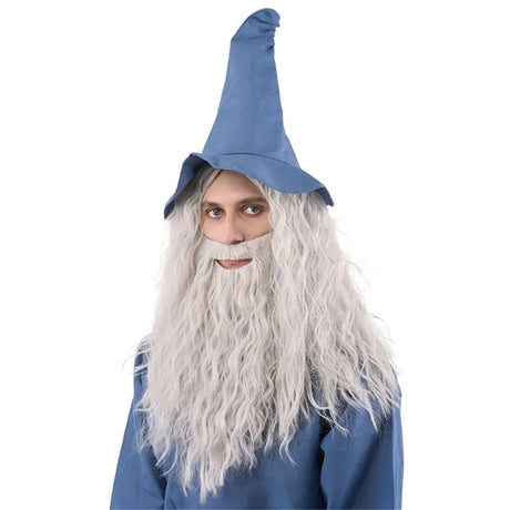Party Planet Grey Wizard Wig And Beard PP12336