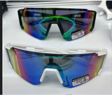 Adult Sunglasses Assorted Designs 705066