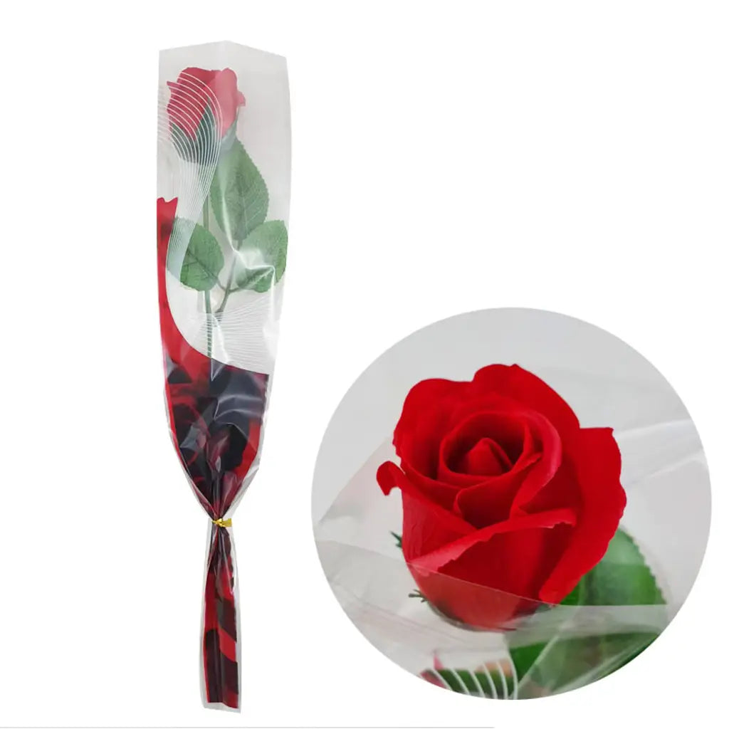 Single Rose Close In Cellophane Wrap K131483