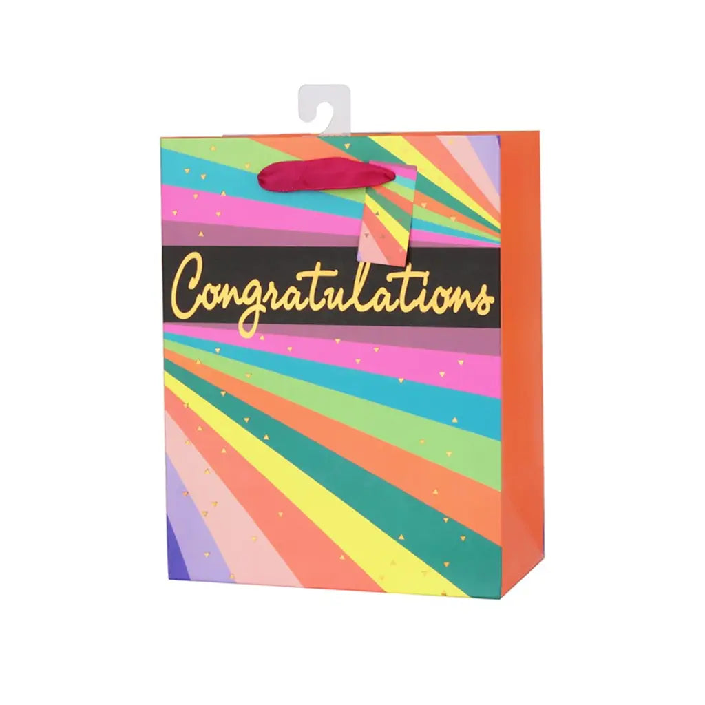 Snazzle Large Neon Stripes Gift Bag 26x32x12cm SN13883