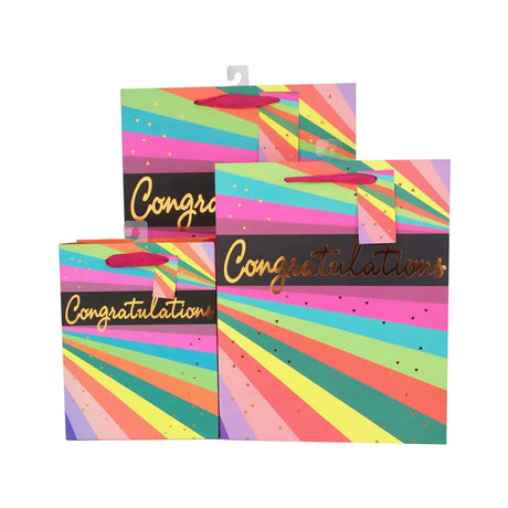 Snazzle Large Neon Stripes Gift Bag 26x32x12cm SN13883