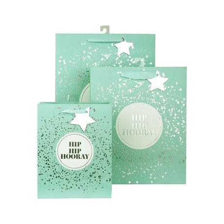 Snazzle Medium Hip Hip Hooray Gift Bag 18x23x10cm SN27729